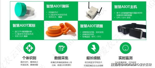 農(nóng)業(yè)物聯(lián)網(wǎng)助力智能畜禽養(yǎng)殖系統(tǒng) 養(yǎng)殖設(shè)備如何有效提高養(yǎng)殖效率